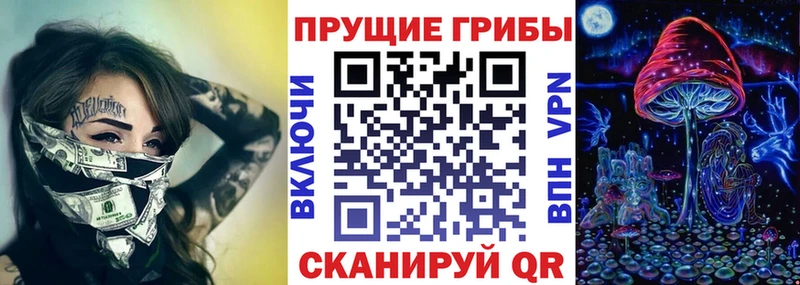 Псилоцибиновые грибы ЛСД дарнет шоп Суздаль
